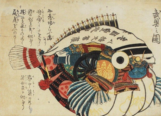 illustrazione pesce palla fugu
