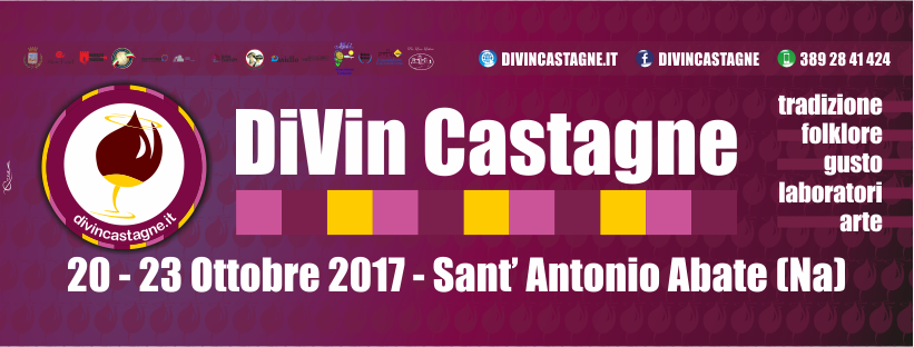 divincastagne 2017 - banner fb