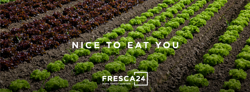 Fresca24