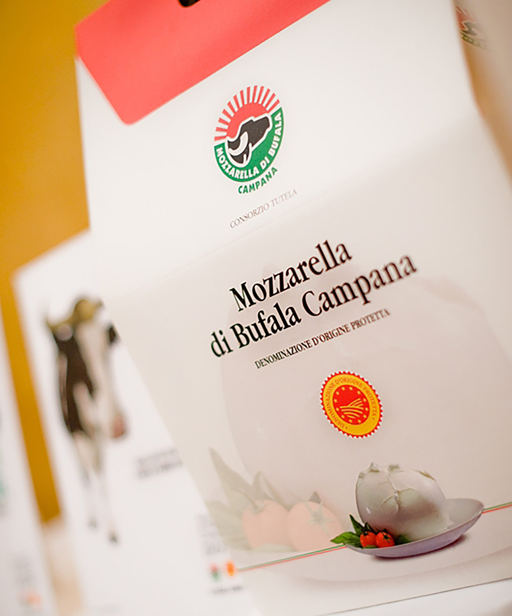 Mozzarella di bufala