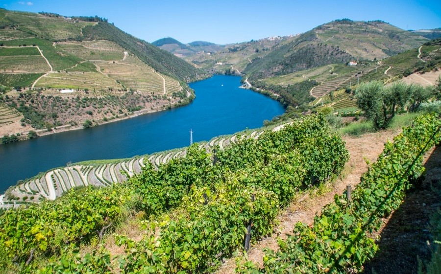 Portogallo: le vigne che si tuffano nell’Atlantico