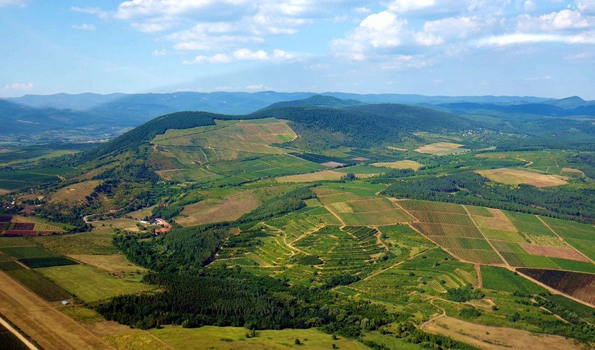  Eger: presentazioni di cantine e vini scelti da Mariusz Kapczyński (7)