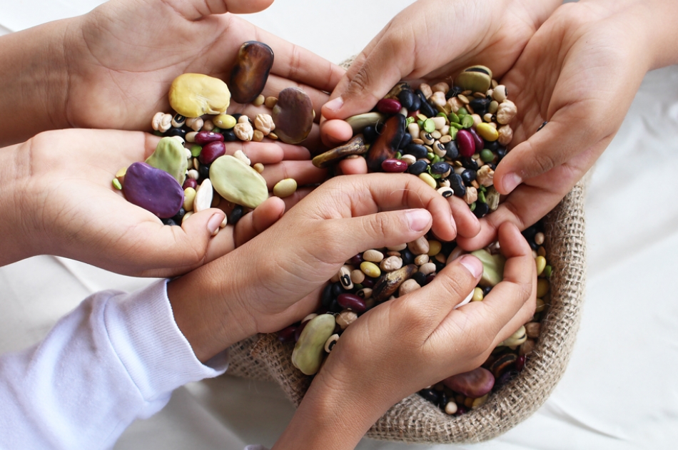 Giornata Mondiale dei Legumi, “Aggiungi un legume a tavola” con Slow Food