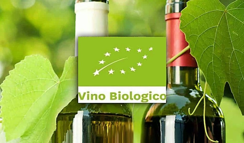 vino biologico