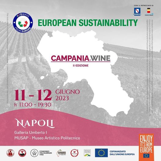 campania wine