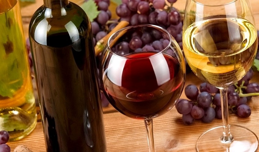 Wine Lab: a Foggia arriva il giro d'Italia enoico di Partesa