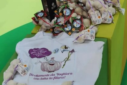 L’Oro Bianco di Voghiera, il bulbo che stregò gli Estensi conquista l’alta cucina