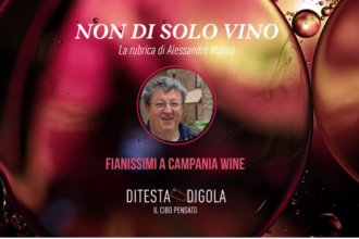 Fianissimi a Campania wine