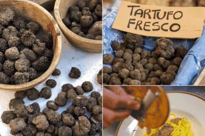Fiera del Tartufo di Bedonia 2026: programma, eventi e degustazioni